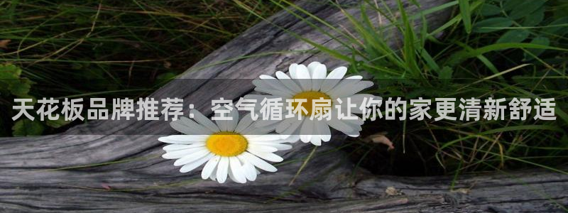 天花板品牌推荐：空气循环扇让你的家更清新舒适