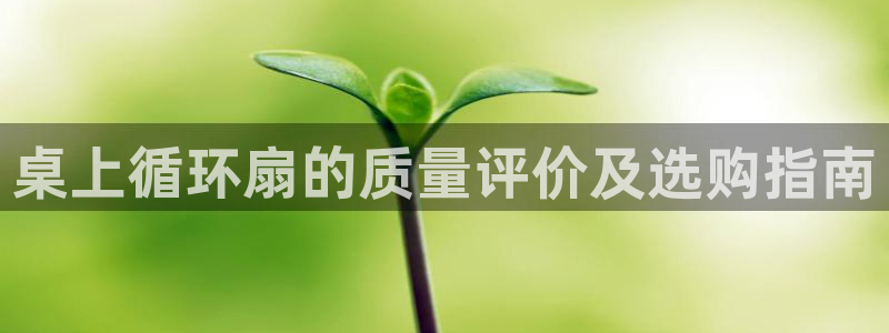 凯发国际平台登录入口官网