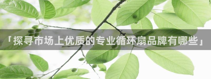 「探寻市场上优质的专业循环扇品牌有哪些」