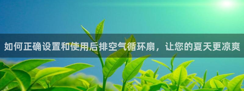 凯发a600丶cc官网首页：如何正确设置和使用后排空气循环扇，让您的夏天更凉爽