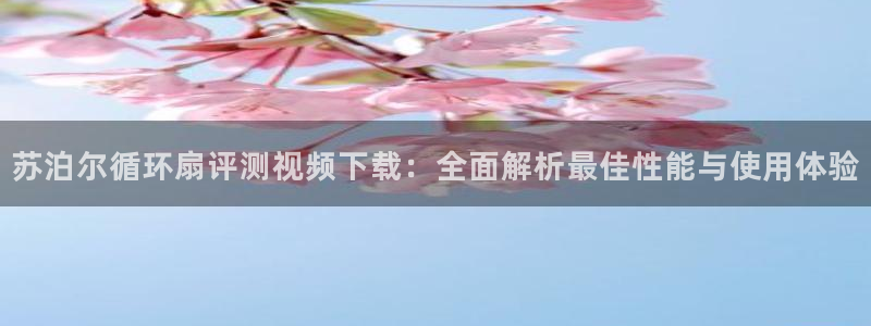 凯发k8国际app：苏泊尔循环扇评测视频下载：全面解析最佳性能与使用体验