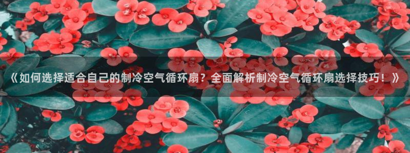 凯发官网|认准kpm：《如何选择适合自己的制冷空气循环扇？全面解析制冷空气循环扇选择技巧！》