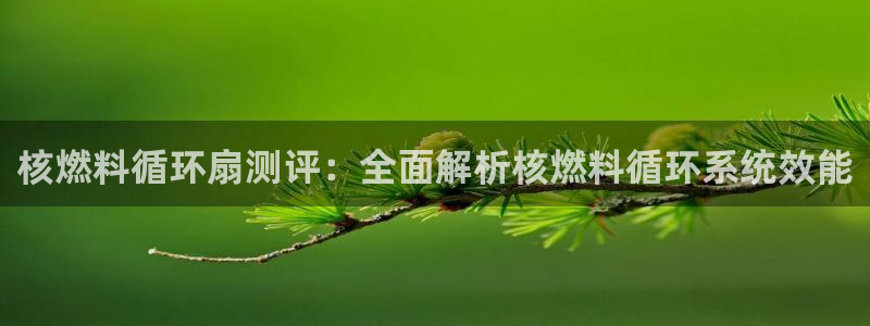凯发k8国际手机网页：核燃料循环扇测评：全面解析核燃料循环系统效能