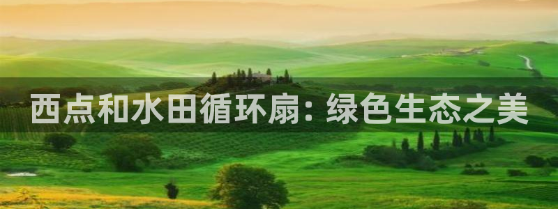 凯发k8娱乐官网旗舰厅：西点和水田循环扇: 绿色生态之美