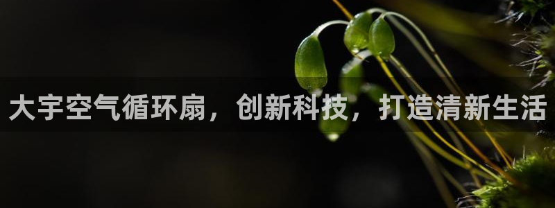凯发k8555|手机版：大宇空气循环扇，创新科技，打造清新生活