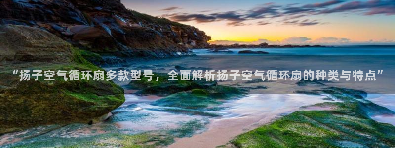 凯发k8官网do选来就送38：“扬子空气循环扇多款型号，全面解析扬子空气循环扇的种类与特点”
