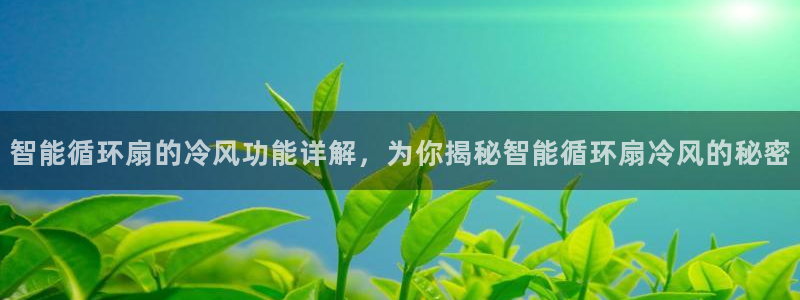 凯发k8官方旗舰店app：智能循环扇的冷风功能详解，为你揭秘智能循环扇冷风的秘密