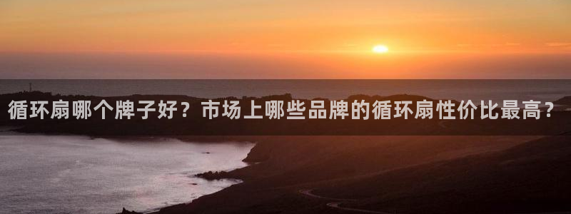 凯发首页登录：循环扇哪个牌子好？市场上哪些品牌的循环扇性价比最高？