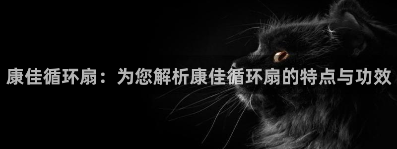 凯发国际平台登录入口官网：康佳循环扇：为您解析康佳循环扇的特点与功效
