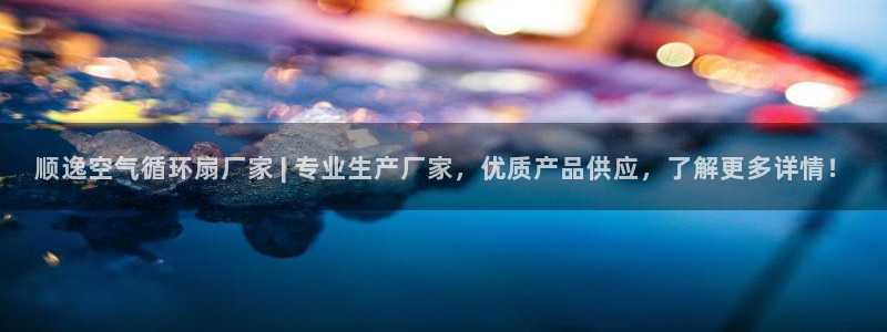 凯发官方首页：顺逸空气循环扇厂家 | 专业生产厂家，优质产品供应，了解更多详情！