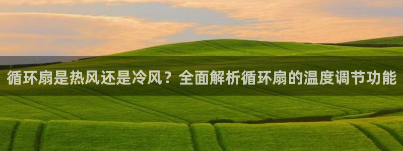 凯发国际网址官网首页：循环扇是热风还是冷风？全面解析循环扇的温度调节功能