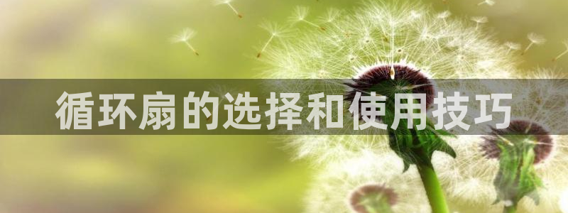 凯发国际网站首页：循环扇的选择和使用技巧