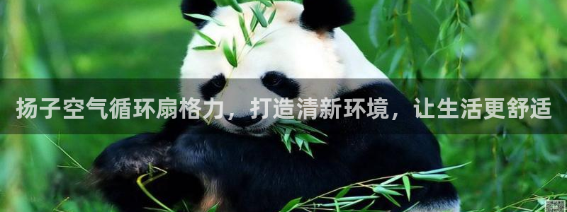 凯发k8是真是假：扬子空气循环扇格力，打造清新环境，让生活更舒适