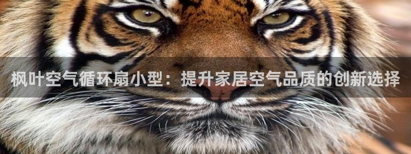 凯发网址直营：枫叶空气循环扇小型：提升家居空气品质的创新选择