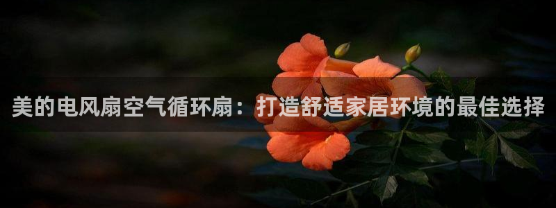 凯发k8国际真人版可靠送38元：美的电风扇空气循环扇：打造舒适家居环境的最佳选择