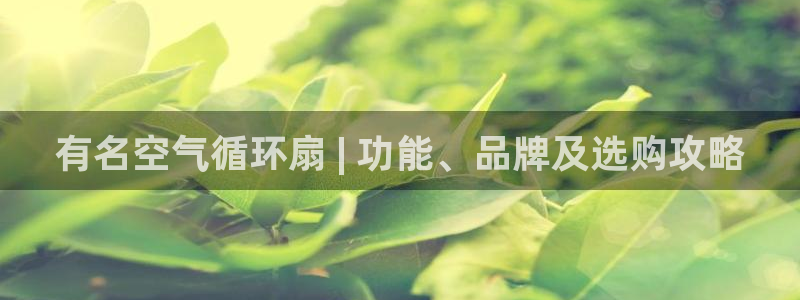 凯发k8ag85856：有名空气循环扇 | 功能、品牌及选购攻略