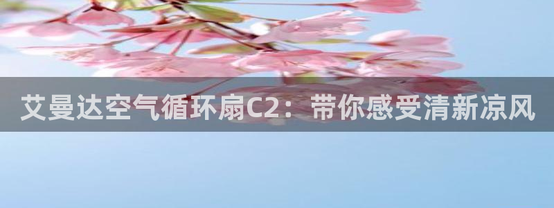 凯发官网平台：艾曼达空气循环扇C2：带你感受清新凉风