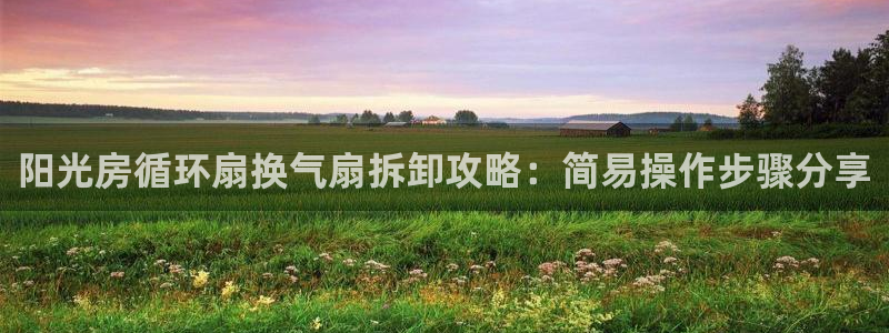 凯发手机客户端下载：阳光房循环扇换气扇拆卸攻略：简易操作步骤分享