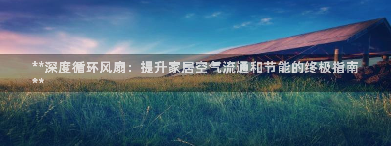 凯发国际可靠送38元：**深度循环风扇：提升家居空气流通和节能的终极指南
**