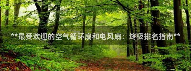 凯发app官网：**最受欢迎的空气循环扇和电风扇：终极排名指南**