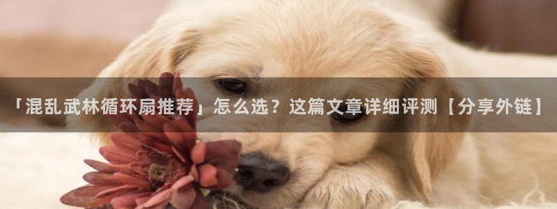 凯发k8旗舰厅手机app下载：「混乱武林循环扇推荐」怎么选？这篇文章详细评测【分享外链】
