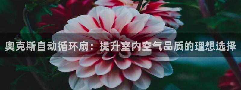 凯发k8国际官网可靠吗