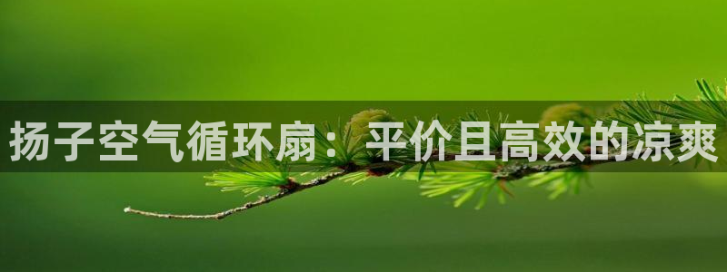 凯发娱乐国际厅：扬子空气循环扇：平价且高效的凉爽