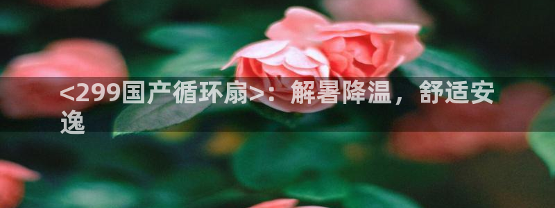 凯发k8旗舰店：<299国产循环扇>：解暑降温，舒适安
逸