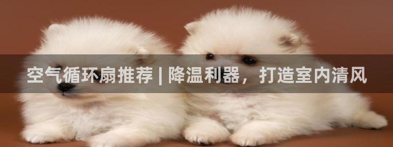 凯发k8娱乐是哪个国家的：空气循环扇推荐 | 降温利器，打造室内清风
