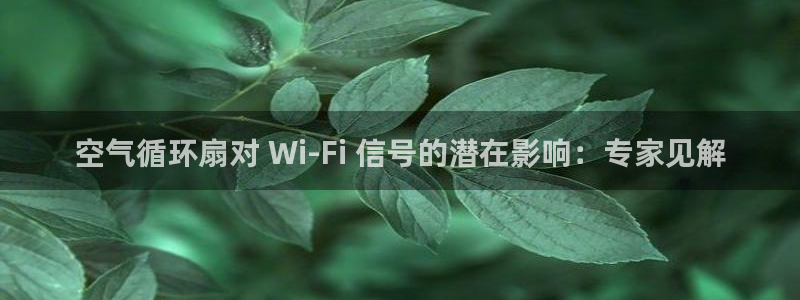 凯发k8官方：空气循环扇对 Wi-Fi 信号的潜在影响：专家见解