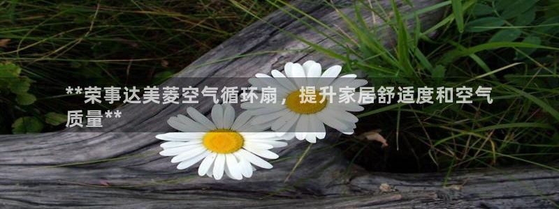 凯发国际官网下载：**荣事达美菱空气循环扇，提升家居舒适度和空气
质量**