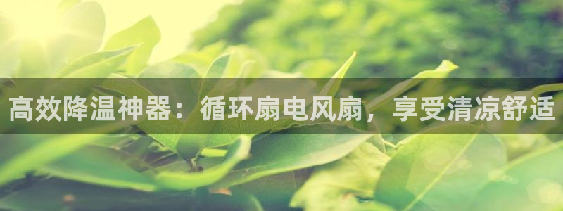 凯发线上官方网站下载网址：高效降温神器：循环扇电风扇，享受清凉舒适