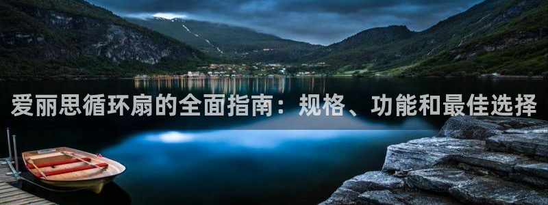 凯发k81111国际真人版：爱丽思循环扇的全面指南：规格、功能和最佳选择