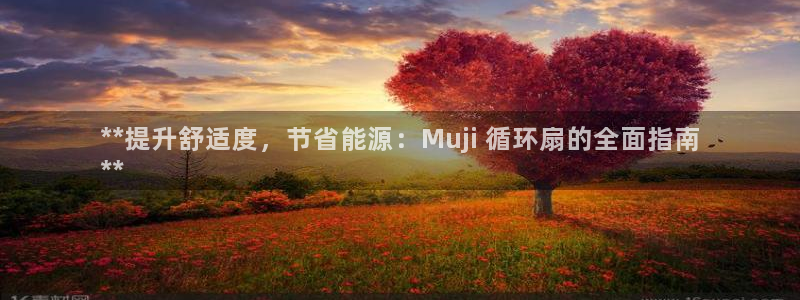 凯发国际平台首页：**提升舒适度，节省能源：Muji 循环扇的全面指南
**