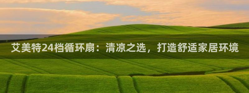 凯发国际平台首页：艾美特24档循环扇：清凉之选，打造舒适家居环境