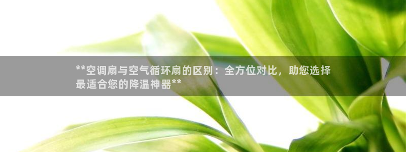 凯发k8国际官网可靠吗：**空调扇与空气循环扇的区别：全方位对比，助您选择
最适合您的降温神器**