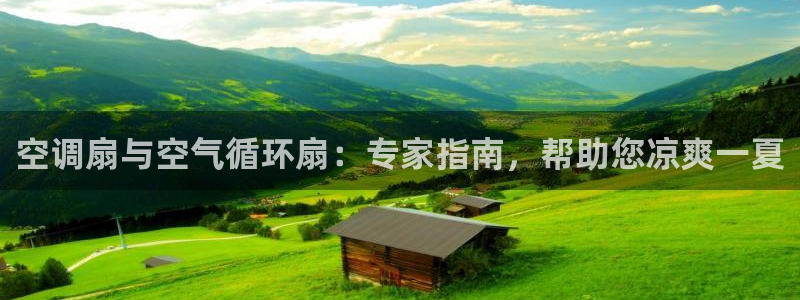 凯发k8娱乐官网入：空调扇与空气循环扇：专家指南，帮助您凉爽一夏