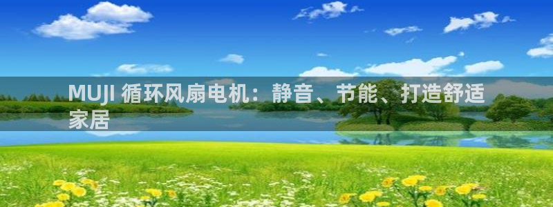 凯发手机app官网：MUJI 循环风扇电机：静音、节能、打造舒适
家居