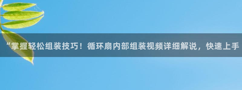凯发k8国际下载：“掌握轻松组装技巧！循环扇内部组装视频详细解说，快速上手