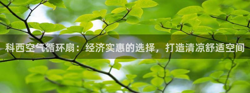k8凯发官方找就送38：科西空气循环扇：经济实惠的选择，打造清凉舒适空间