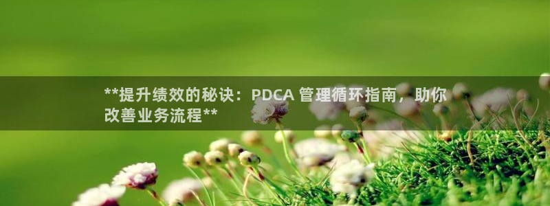 凯发k81111国际真人版：**提升绩效的秘诀：PDCA 管理循环指南，助你
改善业务流程**