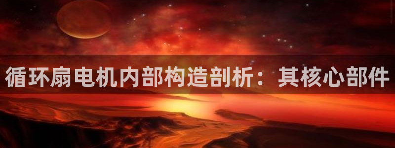 国际凯发k8真人版旗舰厅：循环扇电机内部构造剖析：其核心部件
