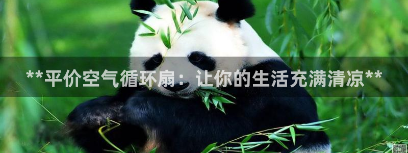 凯发k8国际app：**平价空气循环扇：让你的生活充满清凉**