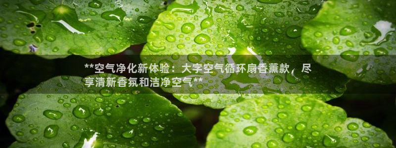凯发国际亚洲有限公司：**空气净化新体验：大字空气循环扇香薰款，尽
享清新香氛和洁净空气**