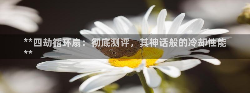 凯发网址多少：**四劫循环扇：彻底测评，其神话般的冷却性能
**