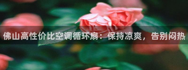 凯发k8娱乐是哪个国家的：佛山高性价比空调循环扇：保持凉爽，告别闷热