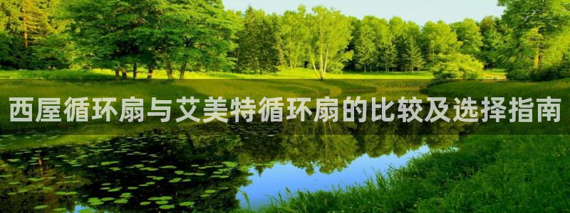凯发k8国际真人版安全送38元：西屋循环扇与艾美特循环扇的比较及选择指南