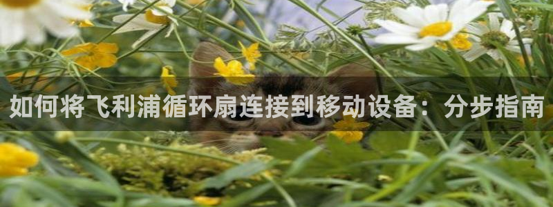 凯发k873：如何将飞利浦循环扇连接到移动设备：分步指南