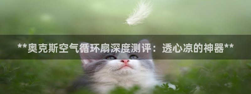 凯发k873：**奥克斯空气循环扇深度测评：透心凉的神器**