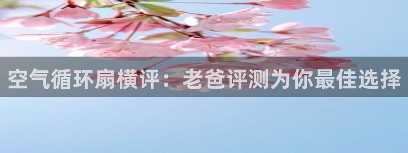 凯发k8国际版官网：空气循环扇横评：老爸评测为你最佳选择